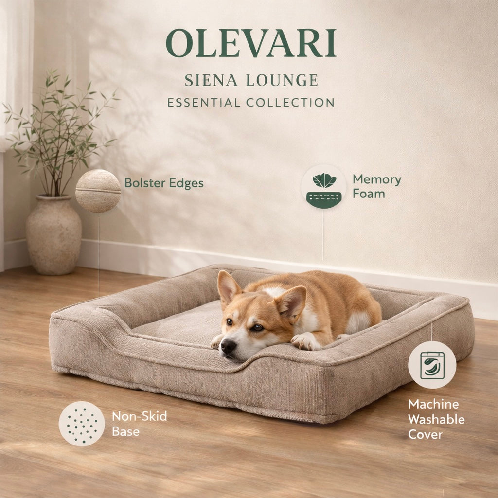 OLEVARI Siena Lounge – Essential Collection